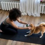 Тренировка