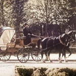 Повозка с лошадьми