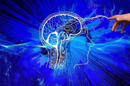 Мозг и творчество