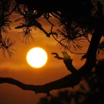 Магнитные бури