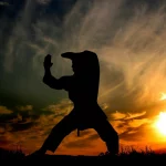 Силует бойца