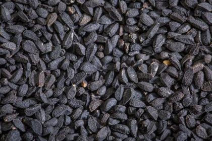 Семена тмина