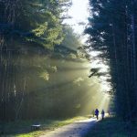 Чистота воздуха