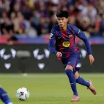 Дро Фернандес