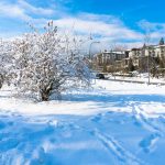 Зимняя погода