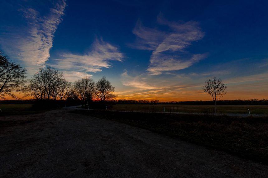 Аграрный сектор