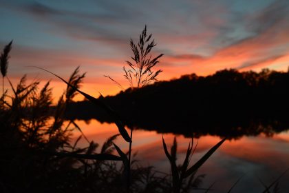 Магнитная буря