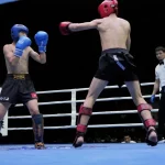 Чемпионат по кикбоксингу