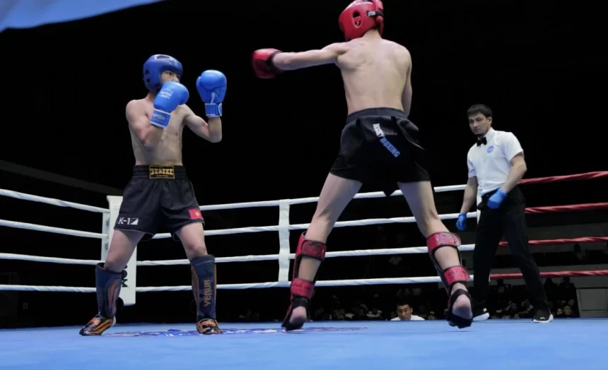 Чемпионат по кикбоксингу